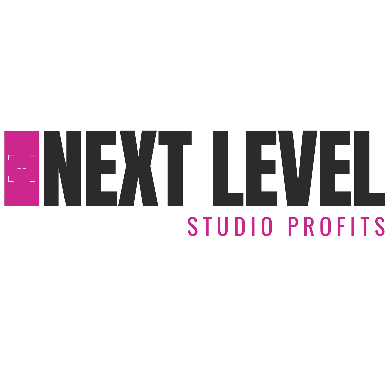 Next Level Studio Profits